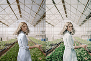 25 Alpine Green Lightroom Presets, a Preset Add-On by SparkleStock (Thumbnail 3 of 10)