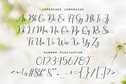 Taralyna - Calligraphy Font, a Script Font by Imiftype Studio (Thumbnail 8 of 10)