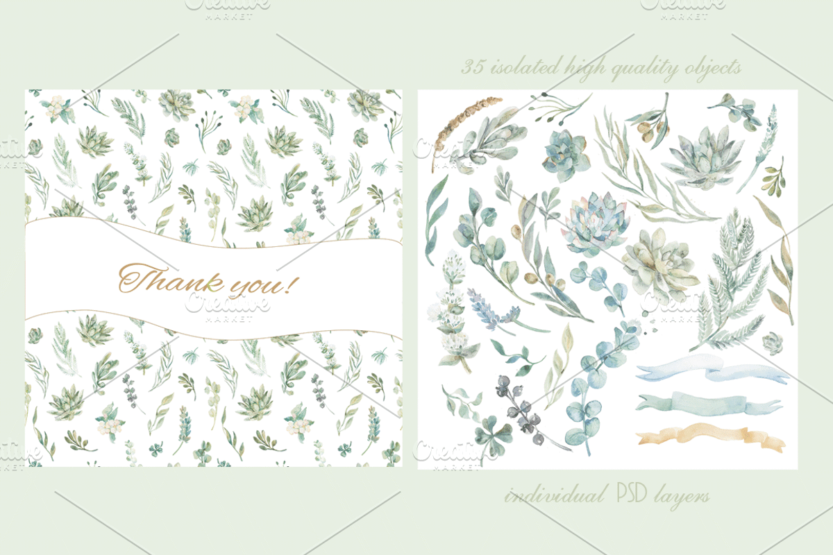 Wedding set of succulents, an Illustration by Elizaveta (Photo 4 of 6)