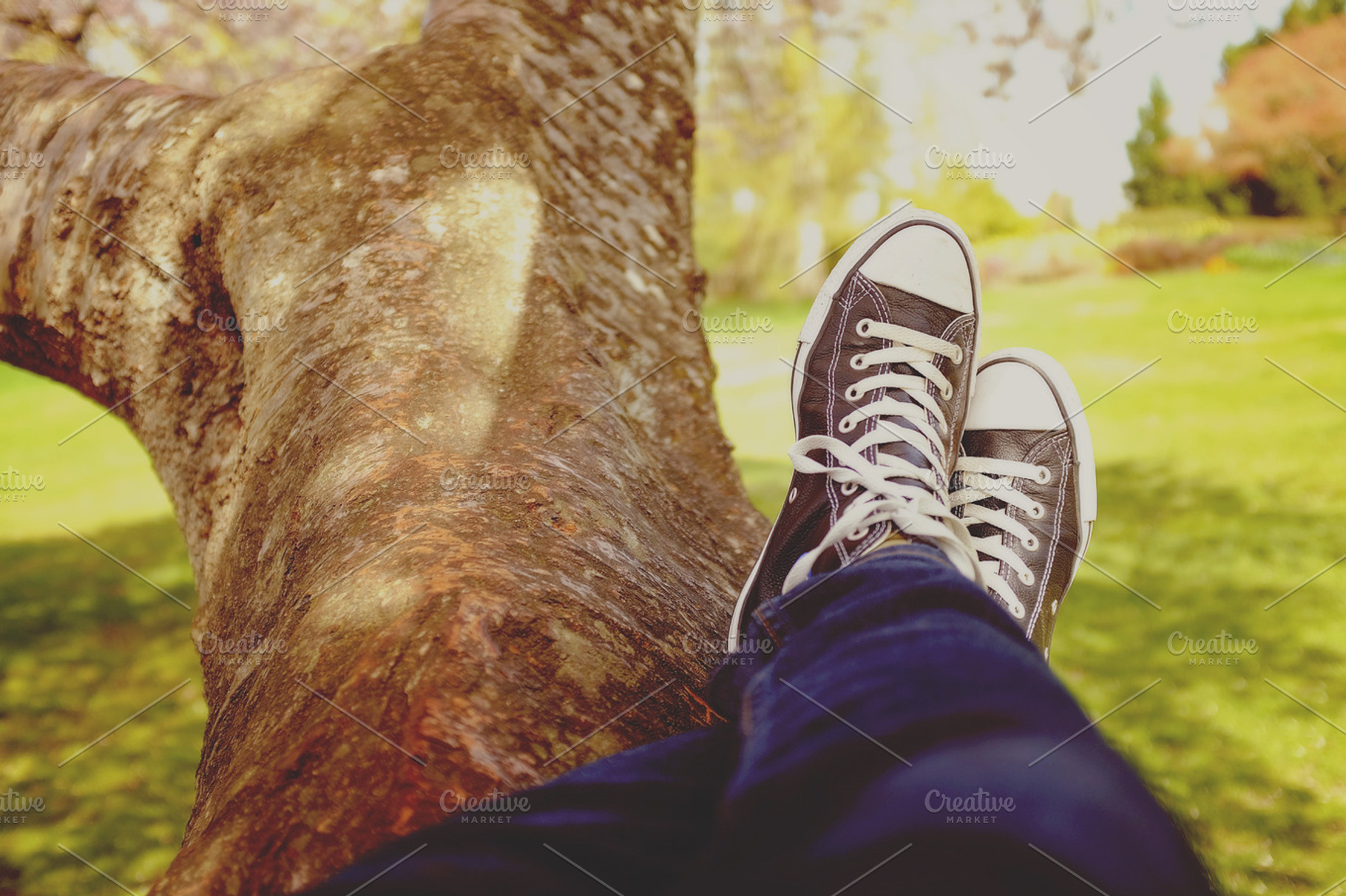 Sitting On Top Of Tree
