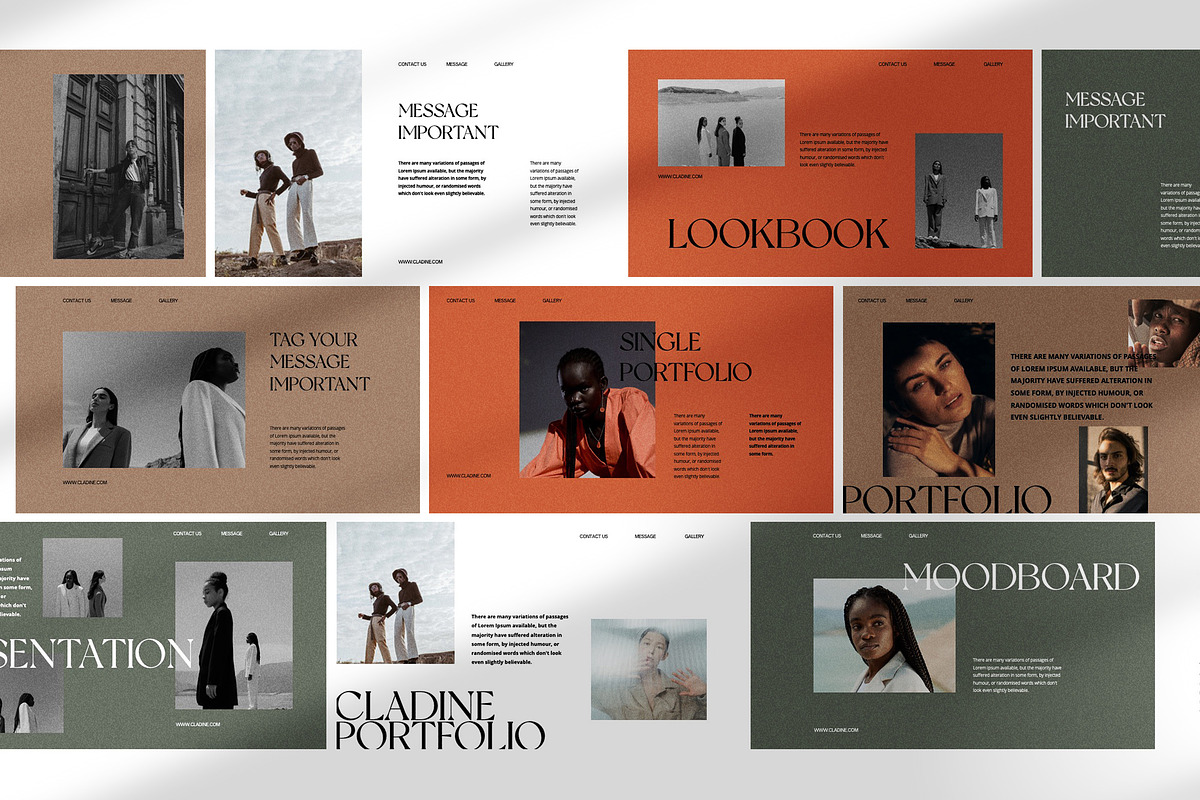 Cladine Presentation Template preview 7