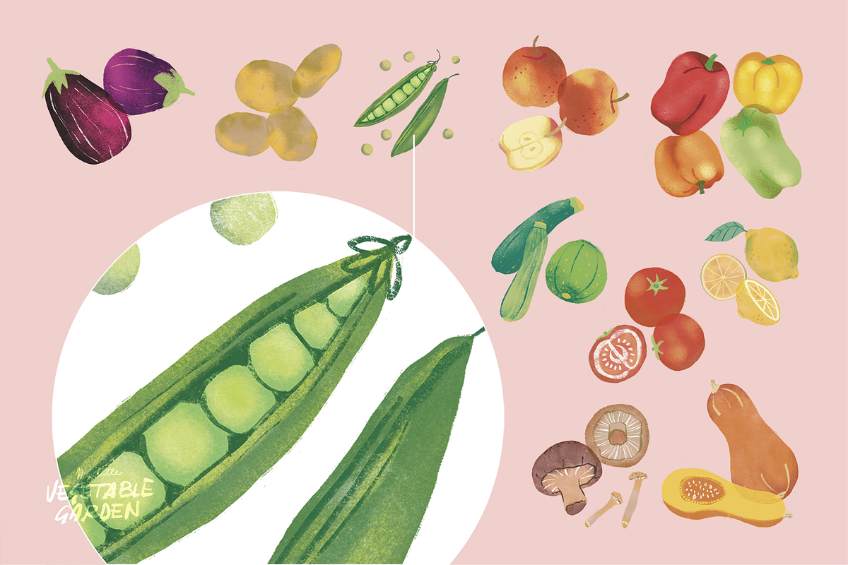 My Little Vegetable Garden, a Food Illustration by Sara Zanello (Photo 4 of 13)