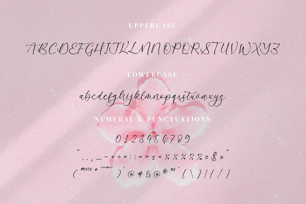 Azelly Vellyne, a Script Font by Integritype Studio (Photo 9 of 15)