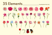 Botanical European Flower Watercolor, an Object Illustration by CreativeValuation (Thumbnail 2 of 13)