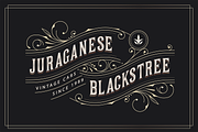 Royale Forgone Font, a Slab Serif Font by Authentic Studio (Thumbnail 5 of 8)