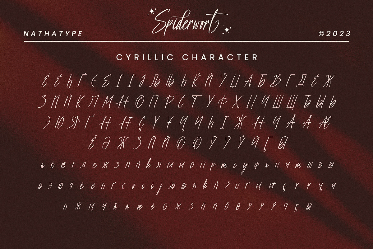Spiderwort, a Script Font by Nathatype (Photo 8 of 8)