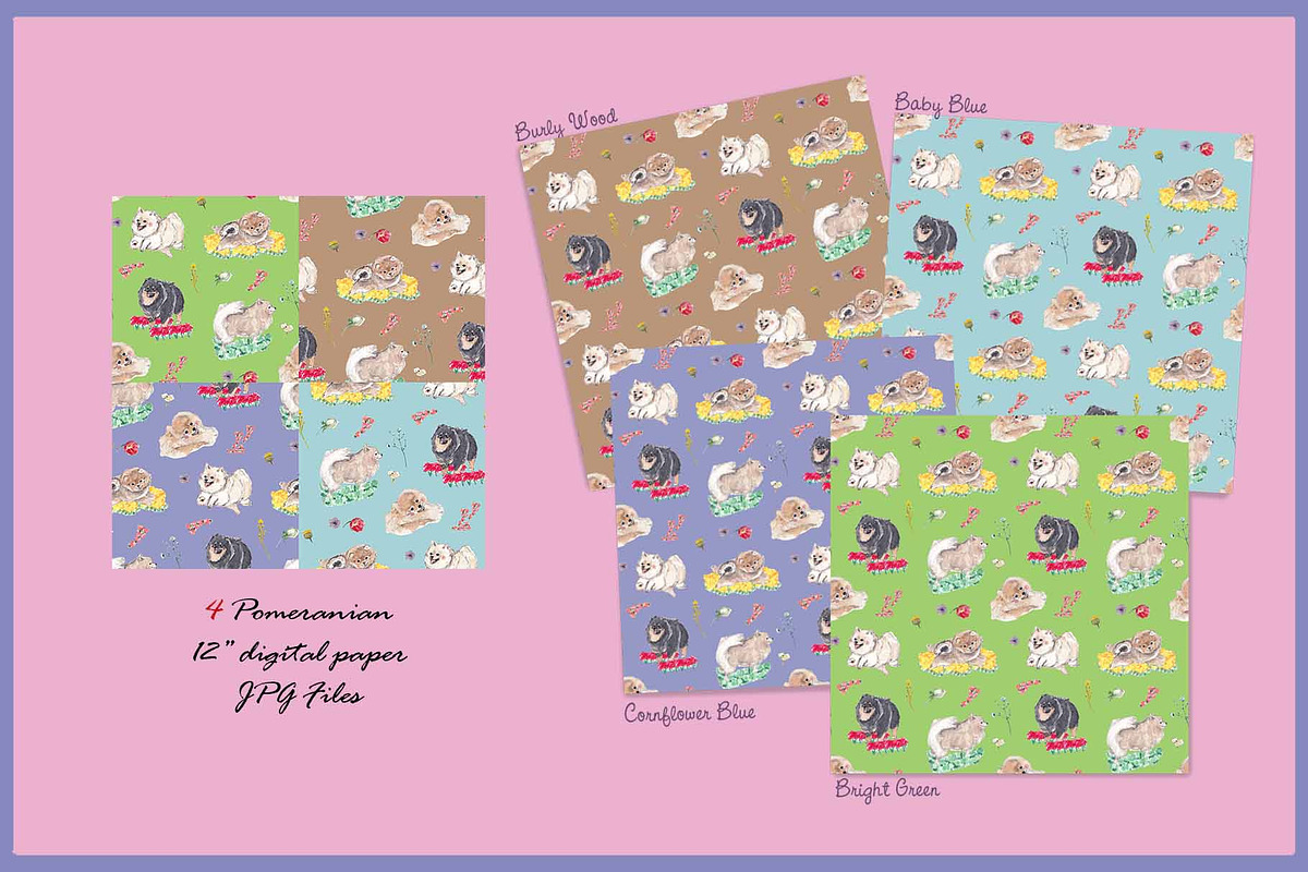 Pomeranian Clipart Digital Paper, an Animal Illustration by VianneArt (Photo 4 of 7)