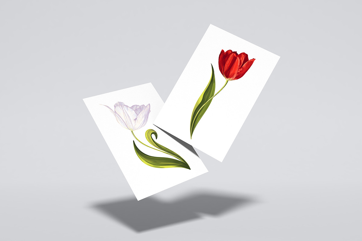 Big set Multicolored Tulips, a Graphic by MarynaPetrovska (Photo 12 of 13)