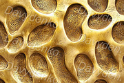 Golden patterns and textures, a Background Graphic by Bubert Art (Thumbnail 4 of 9)