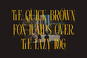 Michael Carsl Condensed Serif, a Serif Font by Cruzine (Thumbnail 4 of 8)
