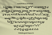 Padar Island - Display Serif Font, a Serif Font by erlosDESIGN (Thumbnail 19 of 19)