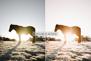 Natural Winter Magic LR Presets, an Action Add-On by CityTurtles (Thumbnail 8 of 10)