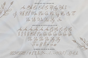 Bearetta - Beautiful Handwriting, a Script Font by Almarkhatype (Thumbnail 8 of 10)