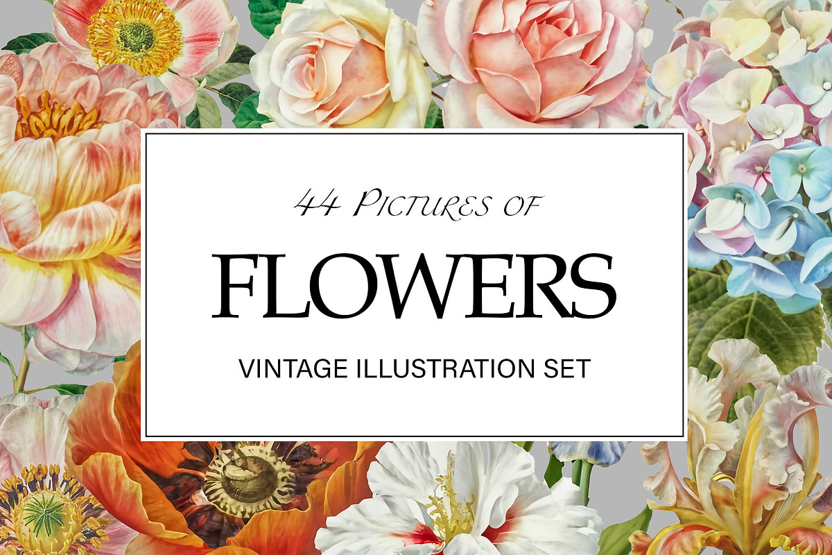 Vintage Collage Creator 99+ Elements, an Illustration by DigitalDesignAI (Photo 2 of 28)