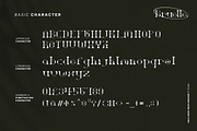 Bruelle Fonts, a Serif Font by Brightone (Thumbnail 2 of 7)