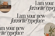 The Silver Editorial Serif Font, a Serif Font by SilverStag Type Foundry (Thumbnail 14 of 25)