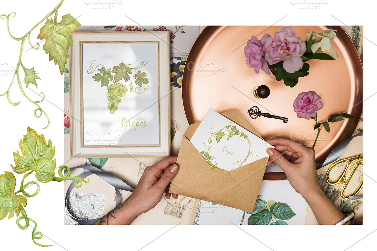Watercolor Grapes, a Food Illustration by MayaNavits (Photo 5 of 15)