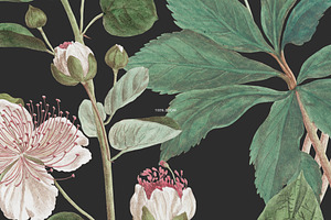 Botanical Floral English Pattern