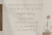 Maintelas Blomite Beautiful Script, a Script Font by Storytype Studio (Thumbnail 13 of 14)