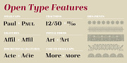 Bridone, a Serif Font by Tipo Pépel (Thumbnail 5 of 7)