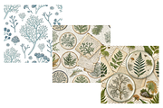 Lichen Library Digital Paper, a Pattern Graphic by FloridPrintables (Thumbnail 3 of 6)