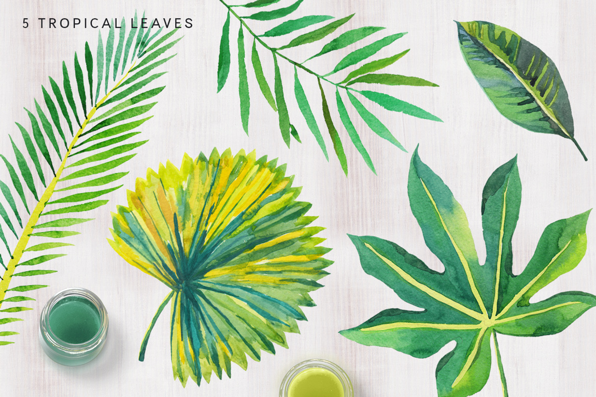 Tropical palm leaves, an Illustration by OJardin (Photo 6 of 8)