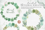 Botanist II - Airplants & Succulents, a Texture Illustration by Momo Studio (Thumbnail 7 of 15)