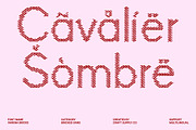 Varena Bricks, a Sans Serif Font by Craft Supply Co. (Thumbnail 7 of 8)