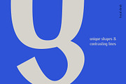 Gerda – A Calligraphic Sans Serif, a Sans Serif Font by Local Desk Designstudio (Thumbnail 3 of 19)