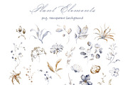 Dried Flowers Watercolor Collection, a Decorative Illustration by LenArt (Thumbnail 8 of 12)