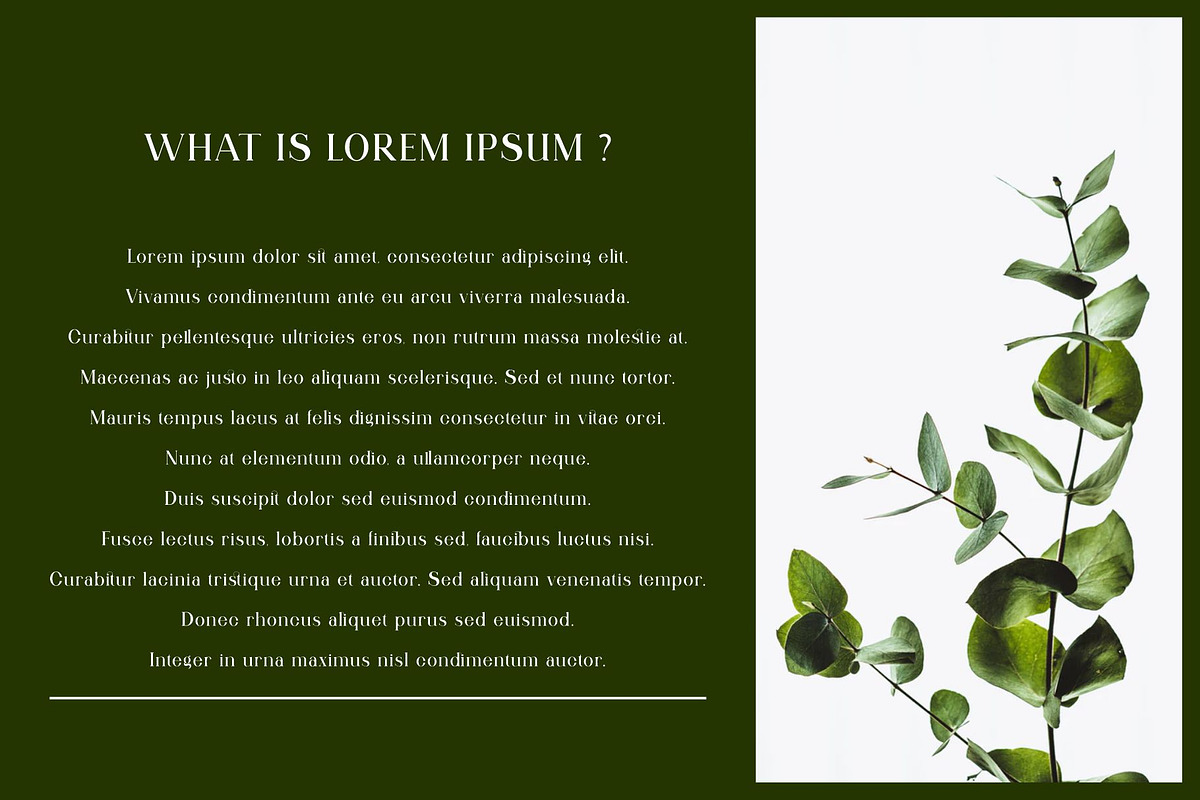 Qitello Ligature Serif Typeface, a Serif Font by Alfinart (Photo 2 of 10)