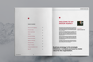 Business Strategy Brochure Template