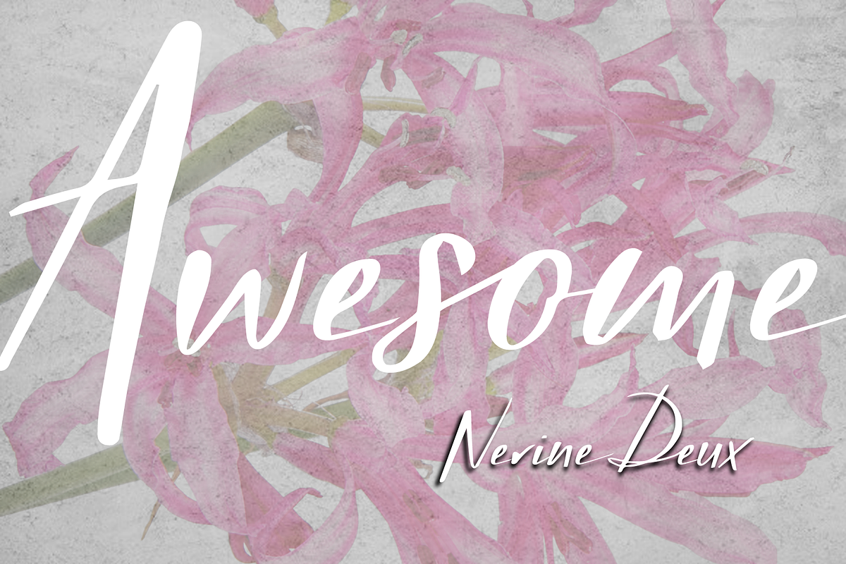 Nerine & Nerine Deux, a Script Font by STUDIOWAYS (Photo 4 of 8)