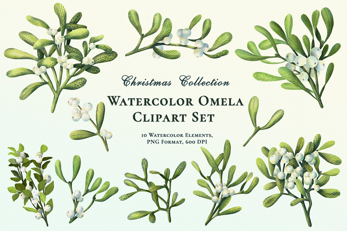 Christmas plants. Cliparts+ wreaths., an Illustration by OlyaGutArt (Photo 4 of 7)