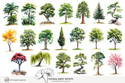 100 watercolour global tree clip art, a Seasonal Illustration by Poppy Lane Studio (Thumbnail 2 of 11)