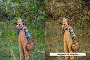 20 Cider Lightroom Presets and LUTs, a Preset Add-On by SparkleStock (Thumbnail 3 of 13)