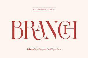 BRANCH - Elegant Serif Typeface