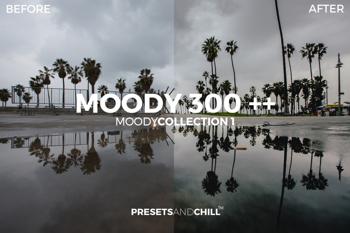 MOODY COLLECTION 1 - Adobe Lightroom, a Plug-in Add-On by PRESETS and CHILL (Photo 3 of 5)