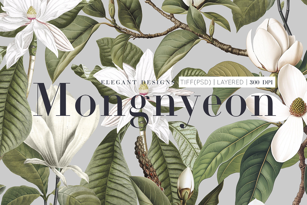 Mongnyeon, Luxury Magnolia Print!, a Pattern Graphic by Pink Linen (Photo 1 of 10)
