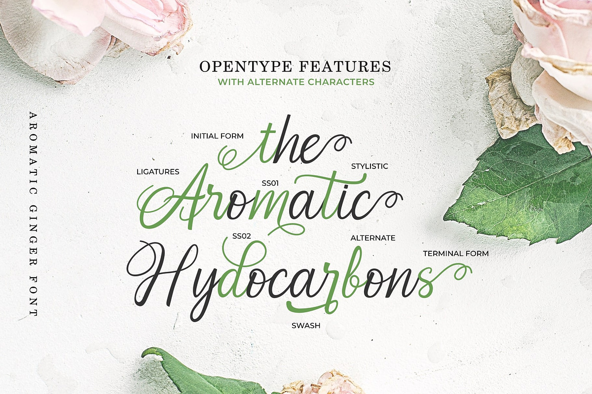 Aromatic Ginger preview 4