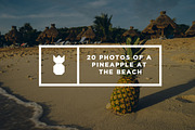 Pineapple's  Day at the Beach, a Photo by Pineapple Shop (Thumbnail 4 of 4)