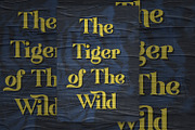 Rudisfave - Decorative Serif Font, a Serif Font by StringLabs (Thumbnail 9 of 11)