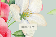 Peonies - Watercolor Collection, an Illustration by PatrushevaYana (Thumbnail 9 of 9)
