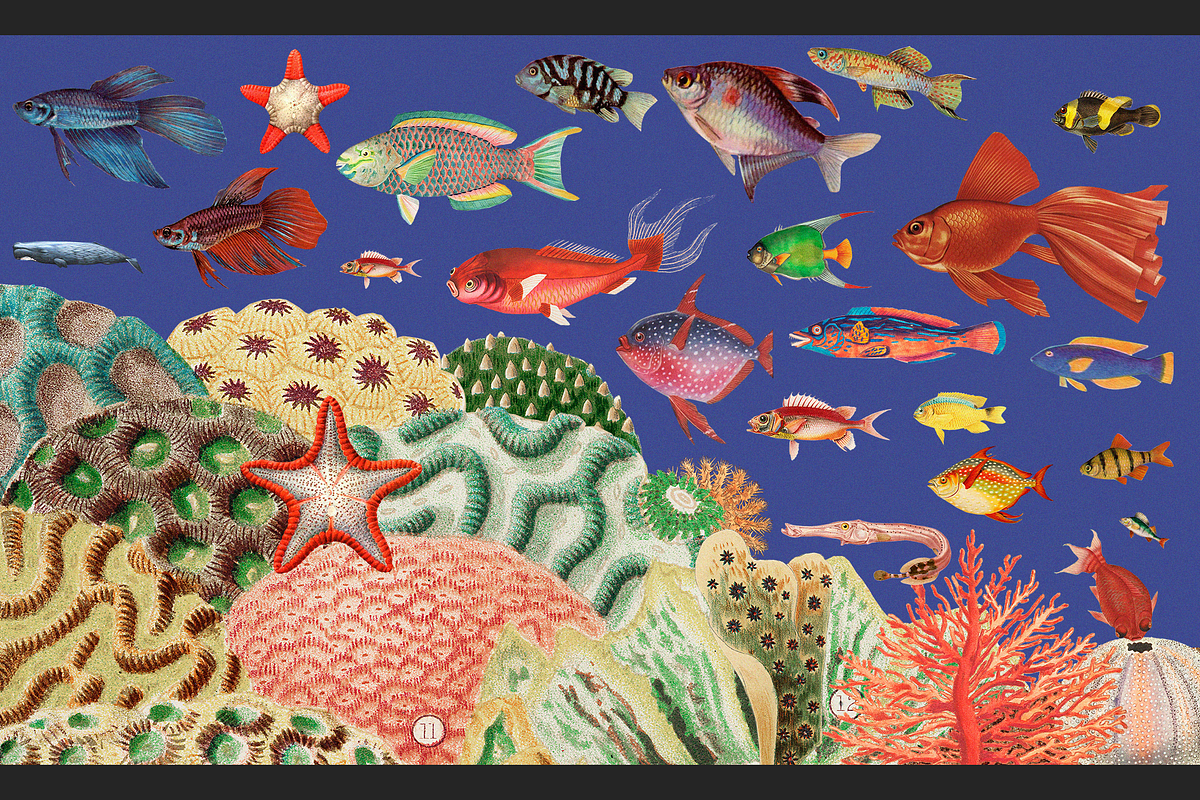 Sea World Vintage Illustrations, an Object Graphic by Lilithcollageart (Photo 1 of 7)