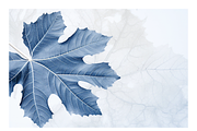 Cyle Collection · Blue Tone Leaves, a Background Graphic by milatovar (Thumbnail 32 of 32)