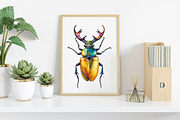 Watercolor Vintage Woodland Clipart, an Illustration by Canvas Craft (Thumbnail 6 of 7)