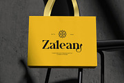 Faseon || Modern Classy Serif Font, a Serif Font by Ermedia Studio (Thumbnail 9 of 10)