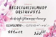 Rosydit - Handlettered Script Font, a Script Font by KAZ by IanMikraz Studio (Thumbnail 4 of 5)