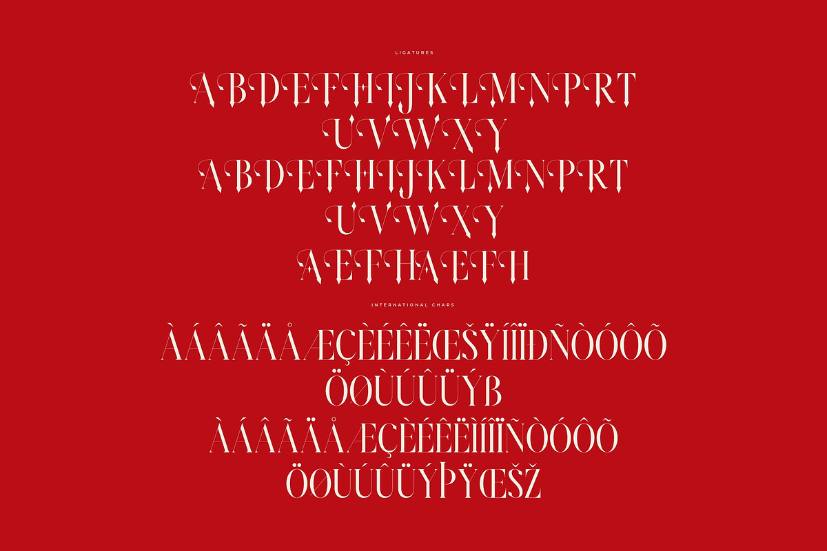 Amodhev Modern Serif Font, a Serif Font by Letterena Studios (Photo 14 of 15)
