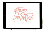 Thick Outline Procreate Brush, a Brush Add-On by Blue Strawberry Studio (Thumbnail 2 of 6)